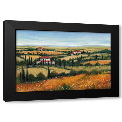 Hills of Tuscany II Black Modern Wood Framed Art Print with Double Matting by OToole, Tim