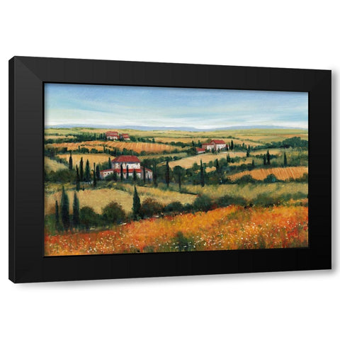 Hills of Tuscany II Black Modern Wood Framed Art Print by OToole, Tim