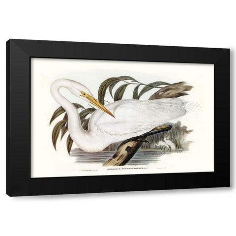 Majestic Waterbird I Black Modern Wood Framed Art Print by Gould, Elizabeth