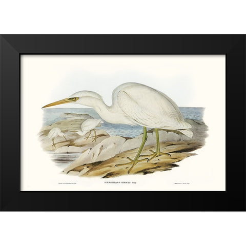 Majestic Waterbird II Black Modern Wood Framed Art Print by Gould, Elizabeth