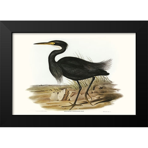 Majestic Waterbird IV Black Modern Wood Framed Art Print by Gould, Elizabeth