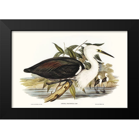 Majestic Waterbird V Black Modern Wood Framed Art Print by Gould, Elizabeth