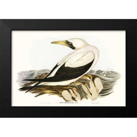 Majestic Waterbird VI Black Modern Wood Framed Art Print by Gould, Elizabeth