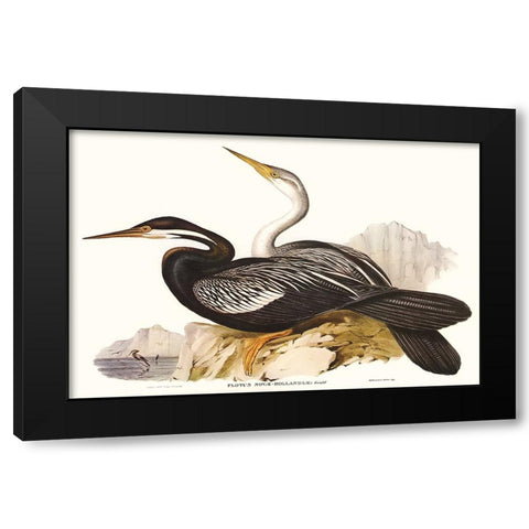 Waterbird Pairing V Black Modern Wood Framed Art Print by Gould, Elizabeth