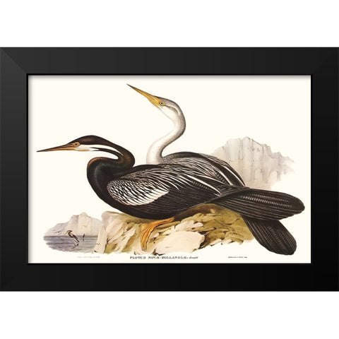 Waterbird Pairing V Black Modern Wood Framed Art Print by Gould, Elizabeth