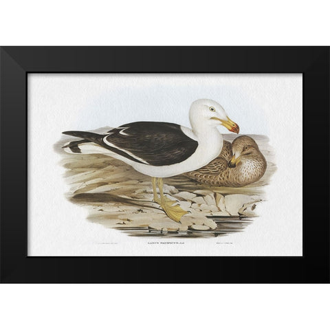 Seabird Pairing I Black Modern Wood Framed Art Print by Gould, Elizabeth