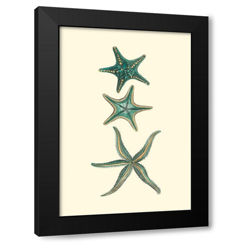 Custom Aquamarine Starfish I Black Modern Wood Framed Art Print with Double Matting by Vision Studio