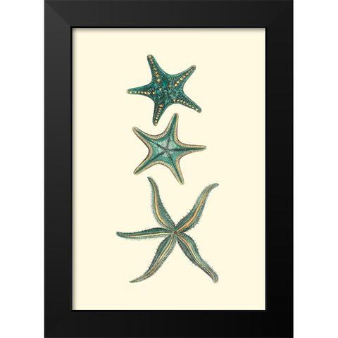 Custom Aquamarine Starfish I Black Modern Wood Framed Art Print by Vision Studio