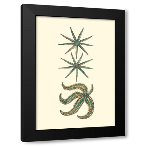 Custom Aquamarine Starfish II Black Modern Wood Framed Art Print with Double Matting by Vision Studio