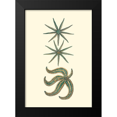 Custom Aquamarine Starfish II Black Modern Wood Framed Art Print by Vision Studio