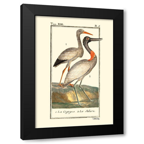 Custom Buffon Cranes And Herons I Black Modern Wood Framed Art Print by Buffon