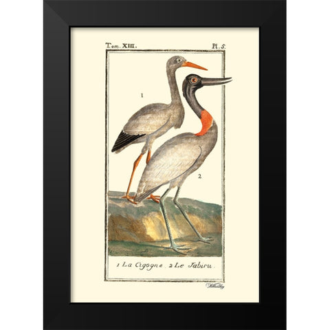 Custom Buffon Cranes And Herons I Black Modern Wood Framed Art Print by Buffon