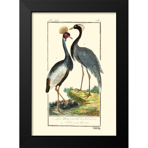 Custom Buffon Cranes And Herons II Black Modern Wood Framed Art Print by Buffon