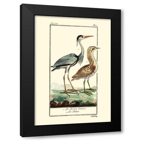Custom Buffon Cranes And Herons III Black Modern Wood Framed Art Print with Double Matting by Buffon
