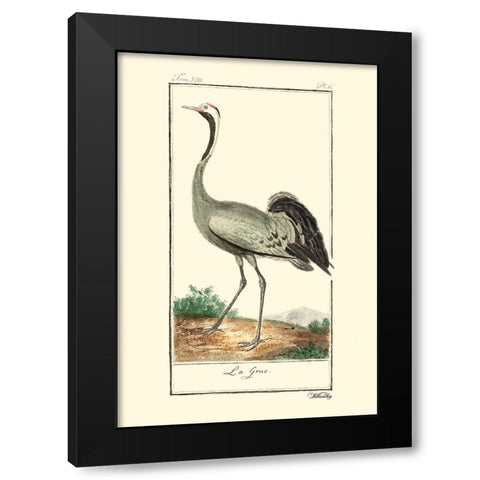 Custom Buffon Cranes And Herons IV Black Modern Wood Framed Art Print with Double Matting by Buffon
