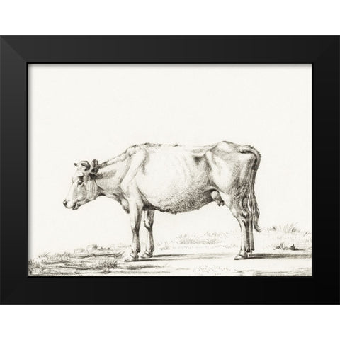 Bernard Cow Sketch II Black Modern Wood Framed Art Print by Bernard, Jean