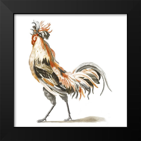 Teyler Roosters II Black Modern Wood Framed Art Print by Teyler, Johan