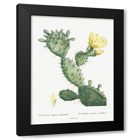 Redoute Cactus I Black Modern Wood Framed Art Print by Redoute, Pierre