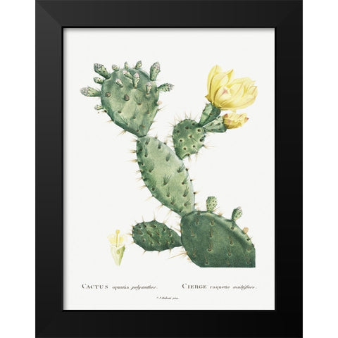 Redoute Cactus I Black Modern Wood Framed Art Print by Redoute, Pierre