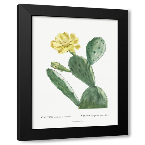 Redoute Cactus II Black Modern Wood Framed Art Print by Redoute, Pierre