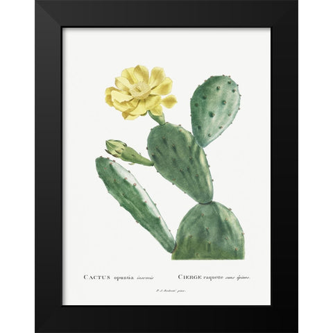 Redoute Cactus II Black Modern Wood Framed Art Print by Redoute, Pierre