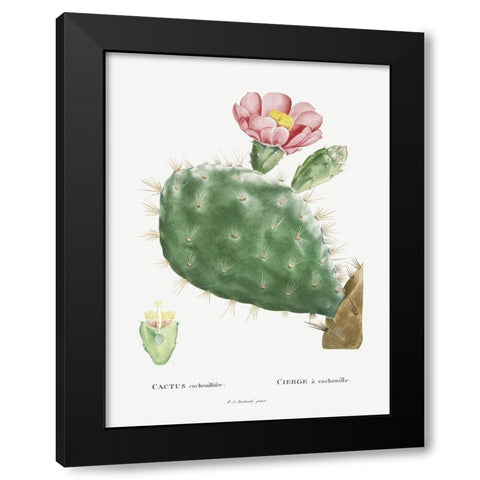 Redoute Cactus III Black Modern Wood Framed Art Print with Double Matting by Redoute, Pierre