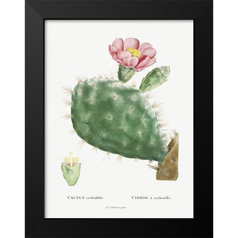Redoute Cactus III Black Modern Wood Framed Art Print by Redoute, Pierre