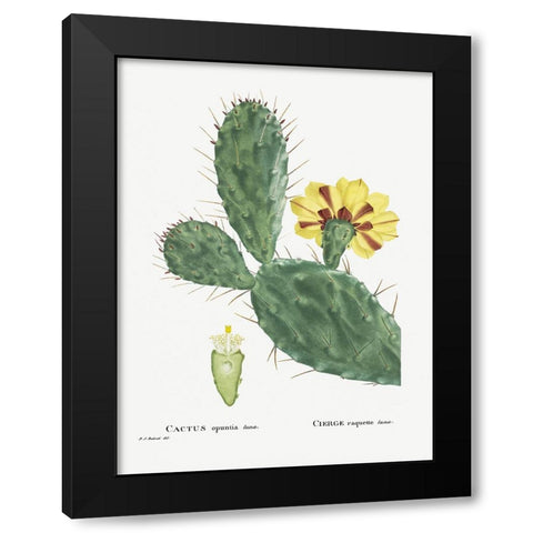 Redoute Cactus IV Black Modern Wood Framed Art Print by Redoute, Pierre