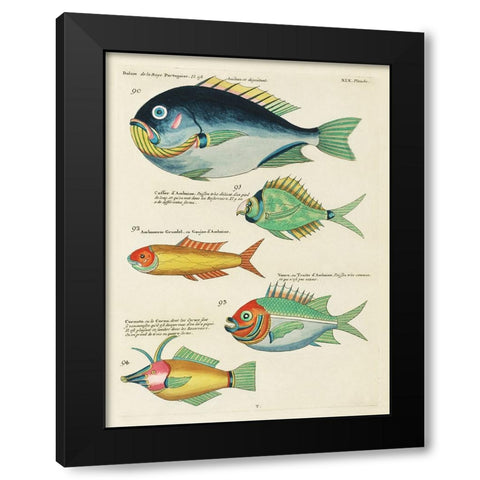 Renard Tropical Fish I Black Modern Wood Framed Art Print by Renard, Louis