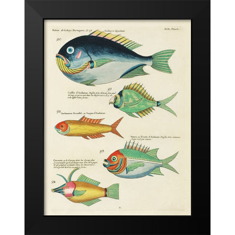 Renard Tropical Fish I Black Modern Wood Framed Art Print by Renard, Louis