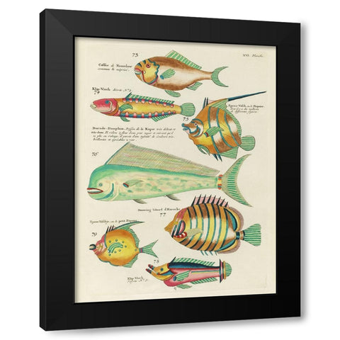 Renard Tropical Fish II Black Modern Wood Framed Art Print by Renard, Louis