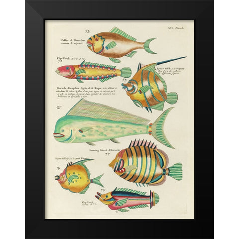 Renard Tropical Fish II Black Modern Wood Framed Art Print by Renard, Louis