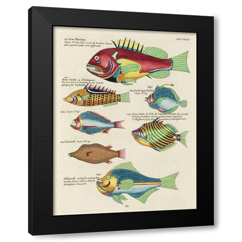 Renard Tropical Fish III Black Modern Wood Framed Art Print by Renard, Louis