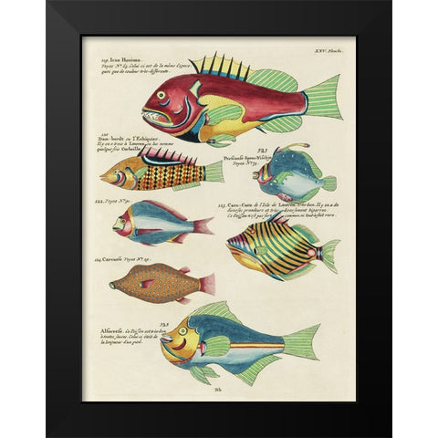 Renard Tropical Fish III Black Modern Wood Framed Art Print by Renard, Louis