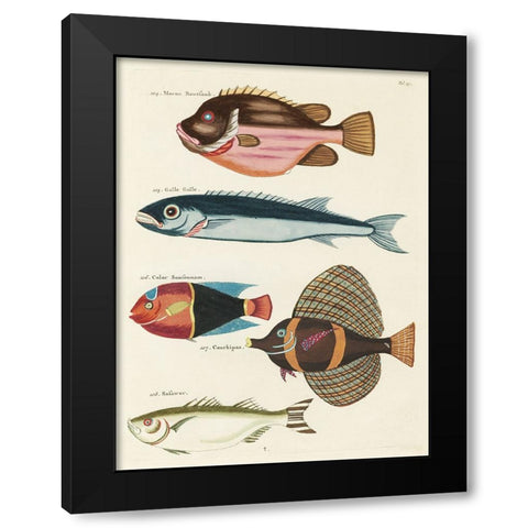Renard Tropical Fish IV Black Modern Wood Framed Art Print by Renard, Louis