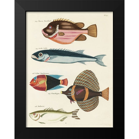 Renard Tropical Fish IV Black Modern Wood Framed Art Print by Renard, Louis
