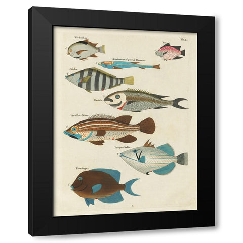 Renard Tropical Fish V Black Modern Wood Framed Art Print by Renard, Louis