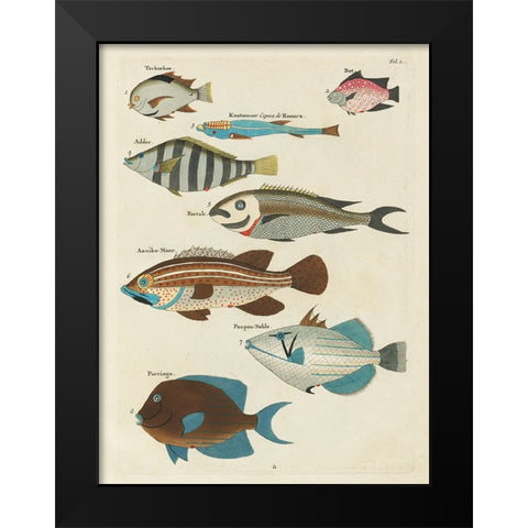 Renard Tropical Fish V Black Modern Wood Framed Art Print by Renard, Louis
