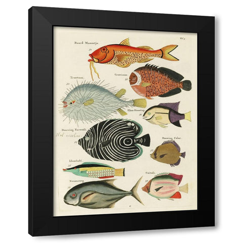 Renard Tropical Fish VI Black Modern Wood Framed Art Print by Renard, Louis