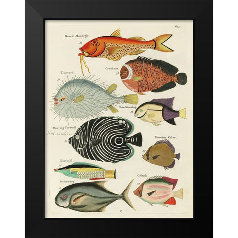 Renard Tropical Fish VI Black Modern Wood Framed Art Print by Renard, Louis