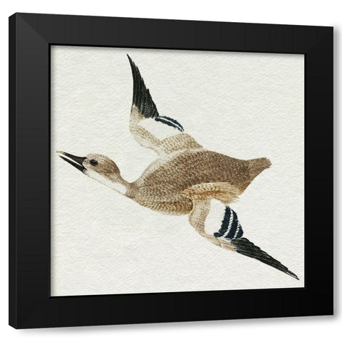Flying Ducks II Black Modern Wood Framed Art Print with Double Matting by Teyler, Johan