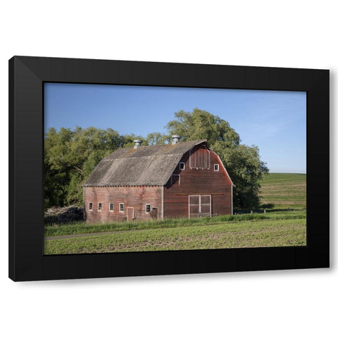 Rustic Palouse Barn I Black Modern Wood Framed Art Print with Double Matting by Drost, David
