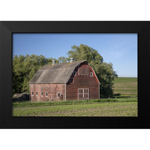 Rustic Palouse Barn I Black Modern Wood Framed Art Print by Drost, David