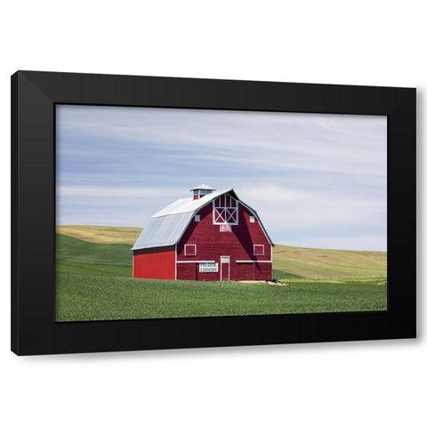 Red Palouse Barn II Black Modern Wood Framed Art Print with Double Matting by Drost, David