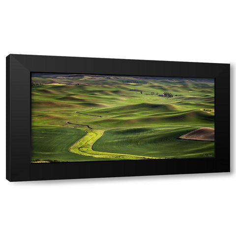 The Palouse Countryside  I Black Modern Wood Framed Art Print by Drost, David