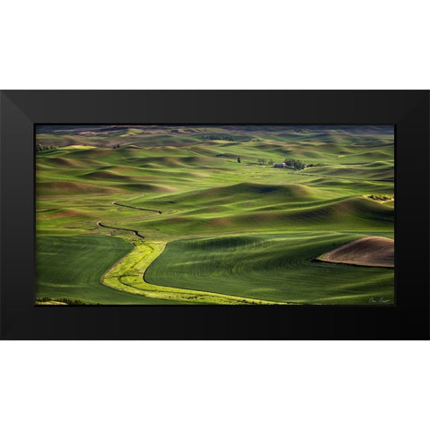 The Palouse Countryside  I Black Modern Wood Framed Art Print by Drost, David