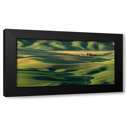 The Palouse Countryside  II Black Modern Wood Framed Art Print by Drost, David