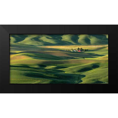 The Palouse Countryside  II Black Modern Wood Framed Art Print by Drost, David