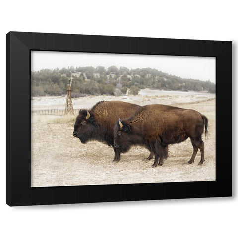 Twin Buffalo Black Modern Wood Framed Art Print by Drost, David