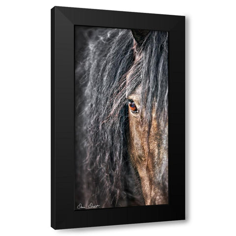 Grey Horse Mane Black Modern Wood Framed Art Print with Double Matting by Drost, David